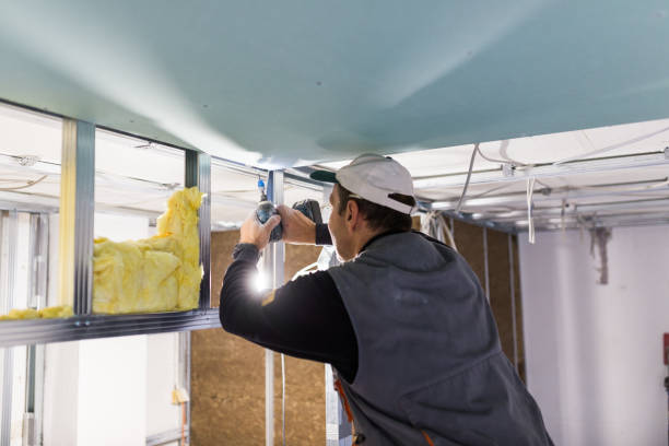 Best Insulation for New Construction  in Red Lake, AZ