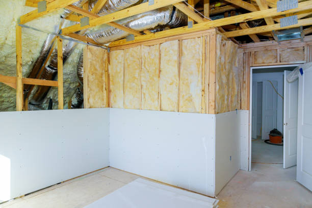 Best Insulation Removal  in Red Lake, AZ