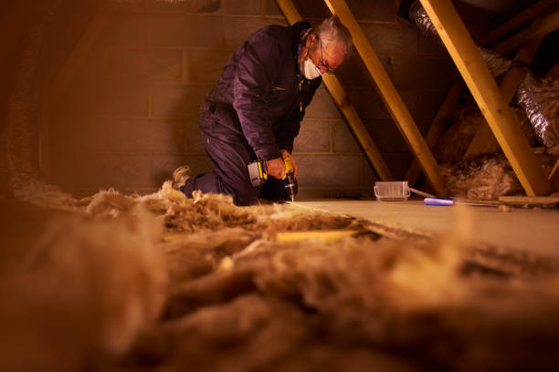 Best Attic Insulation Installation  in Red Lake, AZ